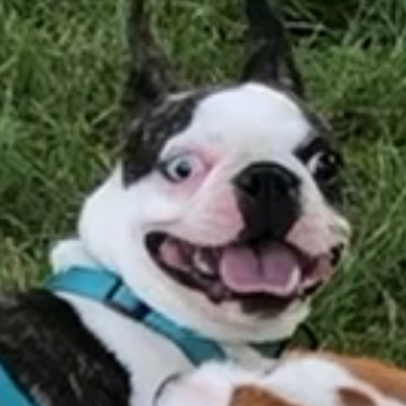 Meet your Posher, Ashley - Picture 3 of 3